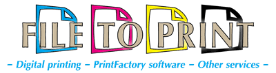 FILE TO PRINT Tomasz Siniak Large format digital printing PrintFactory dealer Other services logo1 032026